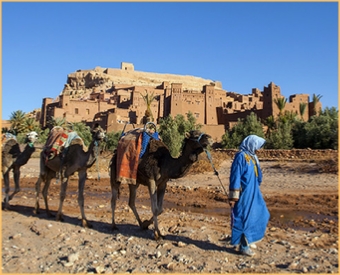 private Day trip from Marrakech to Ait Benhaddou