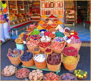 Personalised Morocco tours - Private Tours - Visit Marrakech with Walking Tour of Marrakech