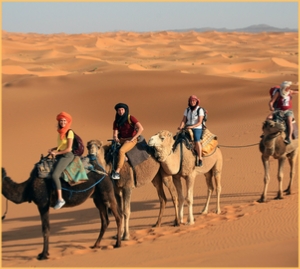 Custom Made Private Tours of Morocco - About us